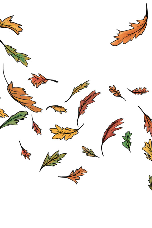 Autumnal Leaves fluttering in the wind, drawn with Adobe Photoshop