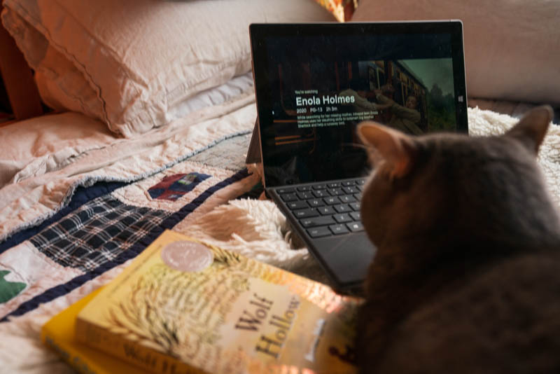 Ned, the cat, enjoying Enola Holmes on Netflix and possibly thinking of joining our book club.