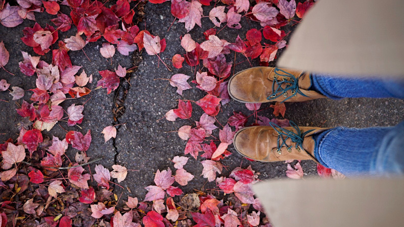 Art of slowing down, taking baby steps, means pausing enough to notice my surroundings, Concord, MA.