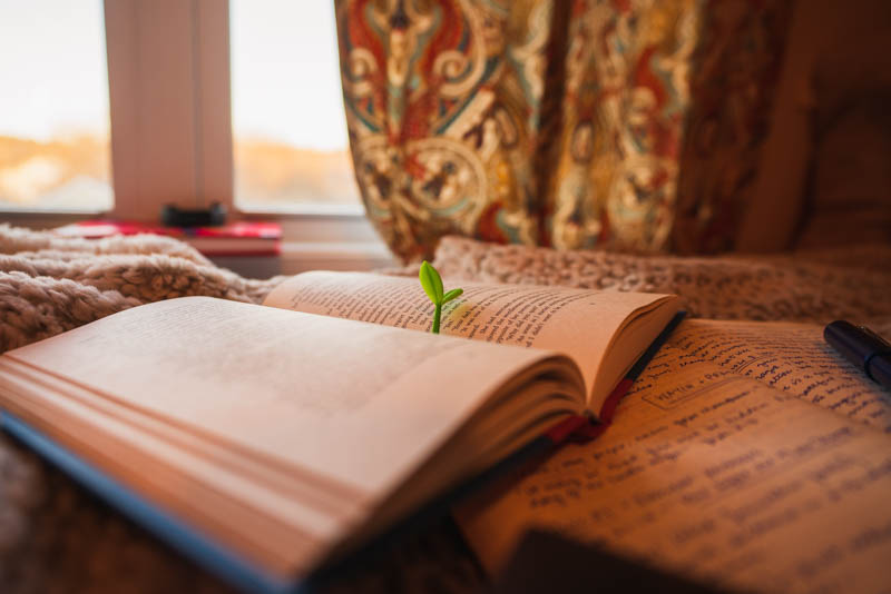 An image of my small sprout bookmark, marking my page in "Midnight Library" by Matt Haig on the bed.