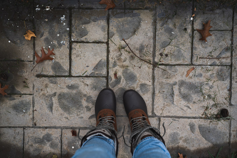 The leaves have nearly all fallen