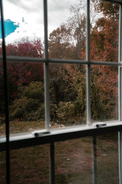 A picutre through my (very dirty) windows of the stunning colors the leaves on all the treas are turning.