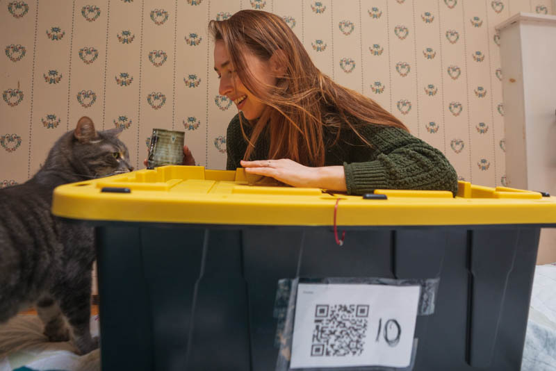 Ned, the cat, surprises Jordan crouching in front of the last unpacked box, the artbox, featuring QR code system